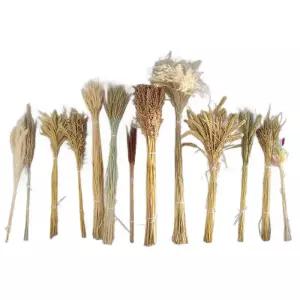 귀리 드라이 팜파스 이삭플라워 갈대 거실 이삭 집 대형 꽃다발 벼 진밀 플