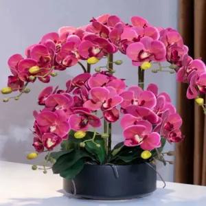 행운 호접란 서양란 조화 화분 가짜꽃 난 꽃배달 개업 인테리어
