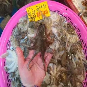 서해안 당일조업 생물 활 주꾸미 1kg