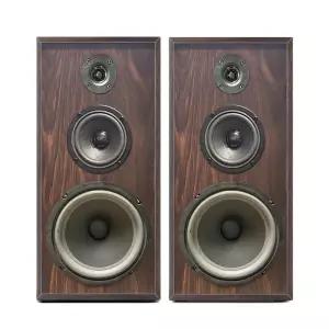 2인치 홈 시어터 북쉘프 마그낫 매장 스피커 플로어