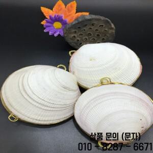 Aqumotic 자연스러운 쉘 보석 상자 캔 조가비 공예 귀 스터드 없음 반지 팔찌