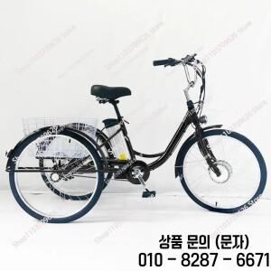 3륜 전기 트라이크 레저 자동차 성인 화물 세발 250W 36V 15V