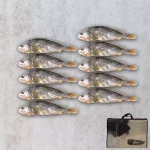 [NS홈쇼핑]영광 법성포 부세보리굴비3호 특대형 10미 32cm내외[30037957]