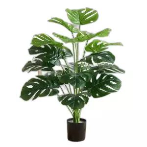 몬스테라 조화나무 열대 식물 트로피칼 인조