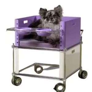 메모리펫 애견 애묘 애견 식기 식탁 의자 테이블