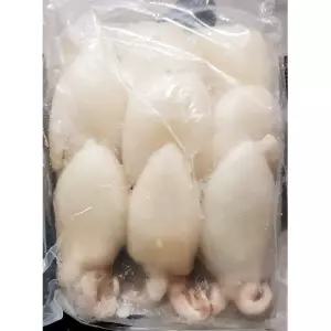 갑오징어 20 40 200g 갑오징어 냉동수산물 수산물 식당용 업소용