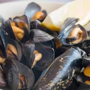 국내산 통영 세척 다듬이 홍합 1KG