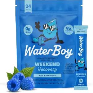 워터보이 주말 3 200mg 전해질 파우더 패킷 진저 + L-테아닌 비타민 설탕 없음 천연 텐 프리 24가지 음료