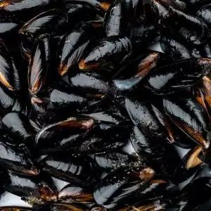 국내산 통영 세척 다듬이 홍합 3KG