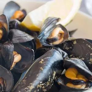 국내산 통영 세척 다듬이 홍합 9KG