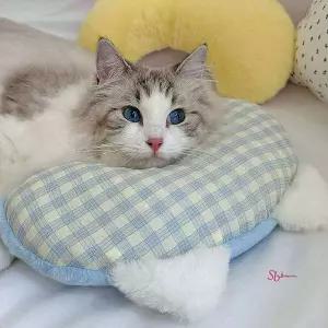 강아지 쿠션 잠자리 벨벳 베개 귀여운 목 고양이 목쿠션opq844