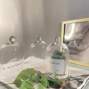 방진 유리 캔들 투명 부케 먼지 돔 방지 디스플레이