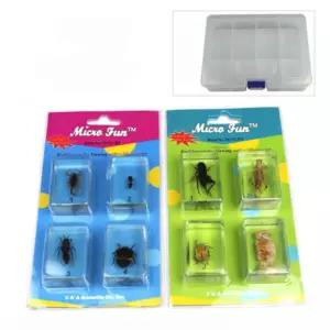 전갈 개미 외 곤충벌레 8종 표본 어린이 초등학습교구 자연과학완구 모형 과학완구