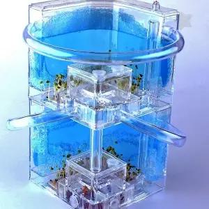 투명 아크릴 2단 구조 곤충 관찰 사육함 여왕개미 생태 학습 교구 어린이 과학