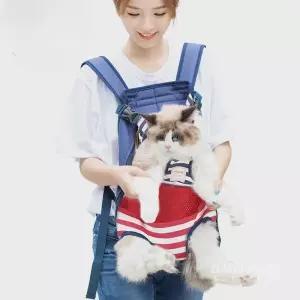 애완동물어깨띠 가슴 어깨띠 포대기 휴대용 외출 고양이 가방 테디 개 배낭 통기성 큰 어깨