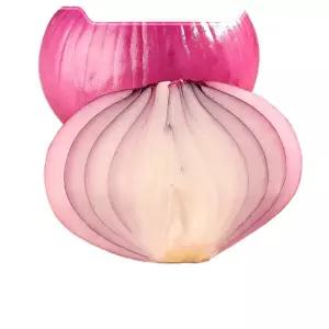 고무 도마 엘라스토머 식세기 미니 스몰 사이즈 가능