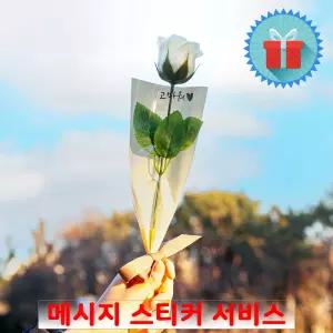 심플포장 메시지 장미 비누꽃 한송이 꽃다발 아이보리 졸업식 로즈데이 이벤트 기념일 선물