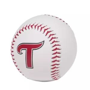 LG트윈스 로고볼 사인받는 볼