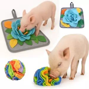 에노체인친 돼지 스너플 매트와 볼 - 미니 포배 및 농장용 농축 장난감 인터랙티브 먹이 찾기 뿌리 뽑기