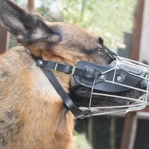 입마개 펫가드 스틸 강아지 입마개 반려동물용품(XL) (블랙)