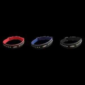 [반려] 개 파랑 목줄 반려동물목줄 애완견목걸이 20mm 51cm