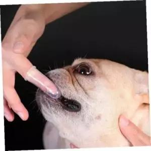 [반려] 관리용품 강아지 반려동물 실리콘 칫솔 손가락 고양이 치아