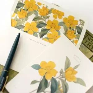 [문구] 감성 카드 세트 플라워 B 4P 엽서 봉투 스티커 편지지