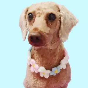 강아지꽃목걸이 반려견목걸이 L 애견스카프 고양이스카프 토끼옷 강아지목줄 고양이방울