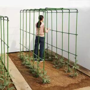 오이 토마토 넝쿨 지주대 지지대 받침대 특대 오이대 고추