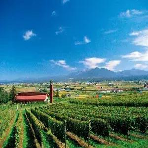 홋카이도 4일 #온천집중 #토카치카와+노보리베츠 #후라노+비에이 #낭만오타루 #삿포로 #대게특식