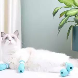 반려묘 목욕용품 4p 실리콘 발보호 커버 미끄럼방지 그루밍 샤워 발톱보호 세척용