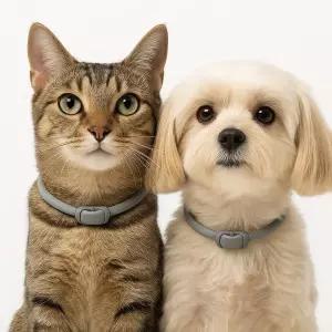 강아지 진드기 퇴치 목걸이 애완동물 모기퇴치 48cm hxv7+6EOx