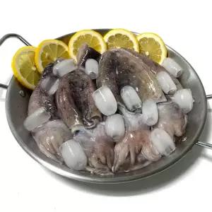 군산직송 국내산 손질 갑오징어 중사이즈 국내산 손질 갑오징어 군산직송 손질오징어