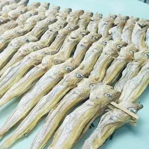 담원 줄노가리 100마리 건어물 건조 저메추 아구포 술안주