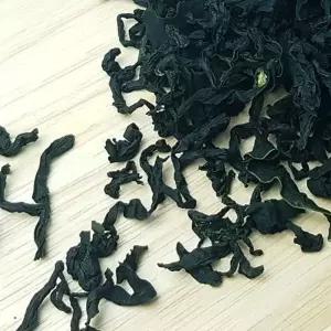 담원 커트 건미역 10KG 건어물 건조 저메추 아구포 술안주