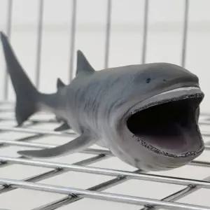 컬렉타 넓은주둥이 상어 모형 피규어 장난감 선물