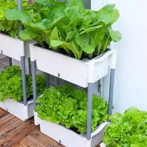 원예 식물재배기 홈가드닝 발코니 베란다 실내 야채키우기 상추재배기