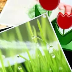 [문구/오피스] 고광택 포토라벨지 포토 용지 20매 라벨스티커 A4