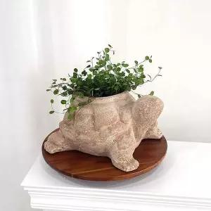 빈티지 토분 식물 화분 거북이 디자인 인테리어 소품 미니어처