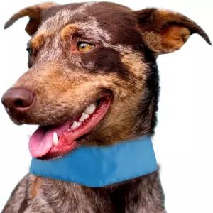 반려동물 생활 여름 냉방 삽입 가능하고 조절 쿨링 스팩 강아지 목 랩