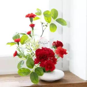 아트박스/플라워트리 감사선물 카네이션 화분 set 27x28cm