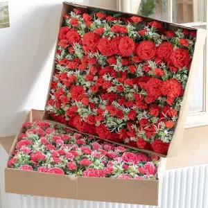 아트박스/플라워트리 카네이션 코사지 3송이 (벌크) 100개 꽃 2컬러 조화