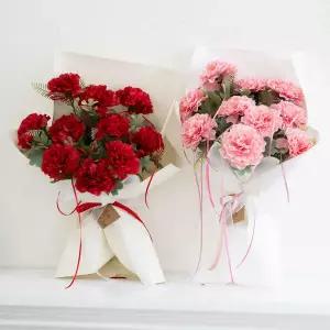 아트박스/플라워트리 레드 핑크 카네이션꽃다발 40x60cm