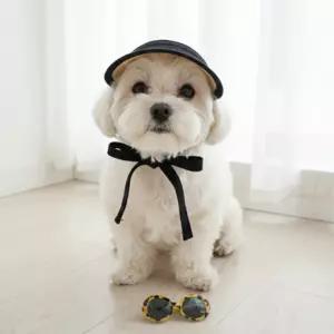 강아지 밀집 모자 썬캡 여름 리본 애견 반려견 sun visor