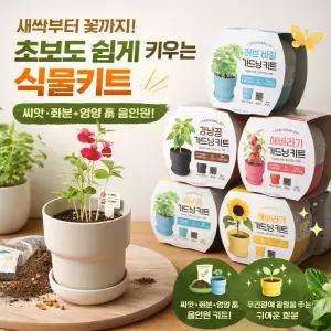 현데코 미니 식물 키우기 방울토마토 바질 화분 관찰 키트