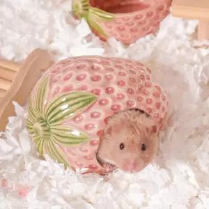 슈 세라믹 햄 은신처 집 및 서식지 아 사계절용 쿨 베드 장식 저빌 생쥐 기니피그