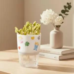 콩나물 키우기 키트 만들기재료 새싹키우기 콩나물 기르기 생태환경 교육 관찰