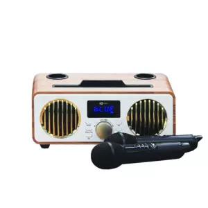 블루투스 휴대용 노래방 마이크 세트 무선 스피커 듀엣 캠핑 행사 가족모임 가정용 차량