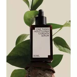 ONETHING 어성초 진정 세럼 80ml 2027734