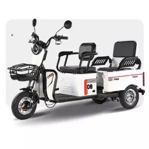 다인승 삼륜 오토바이 전기 스쿠터 모터 삼발이 짐칸
